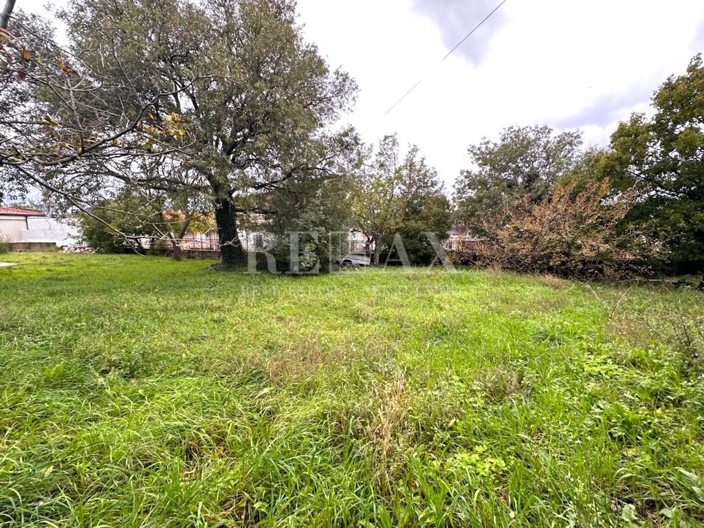 Image 6181524 - 6