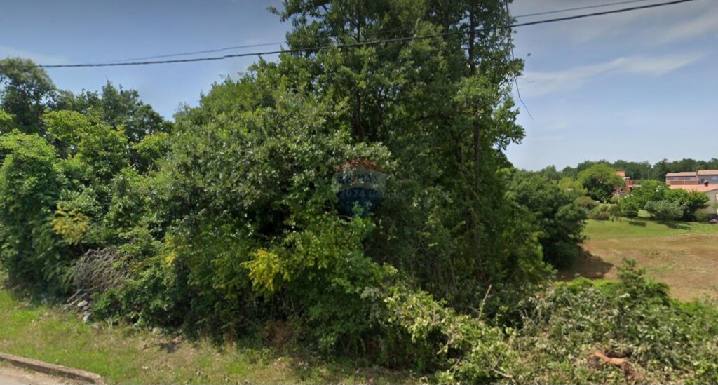 Image 6181633 - 1