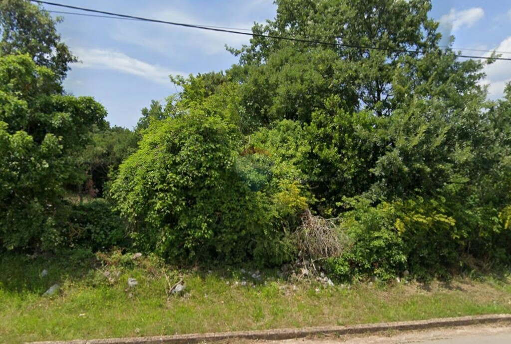 Image 6181633 - 2