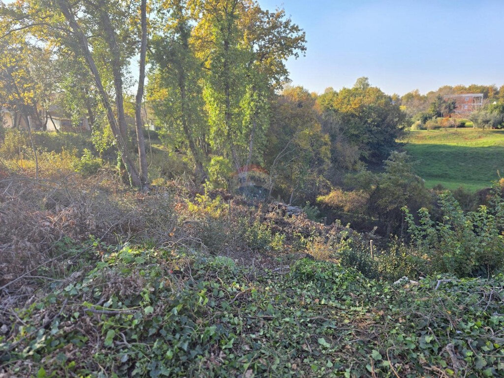 Image 6181633 - 3