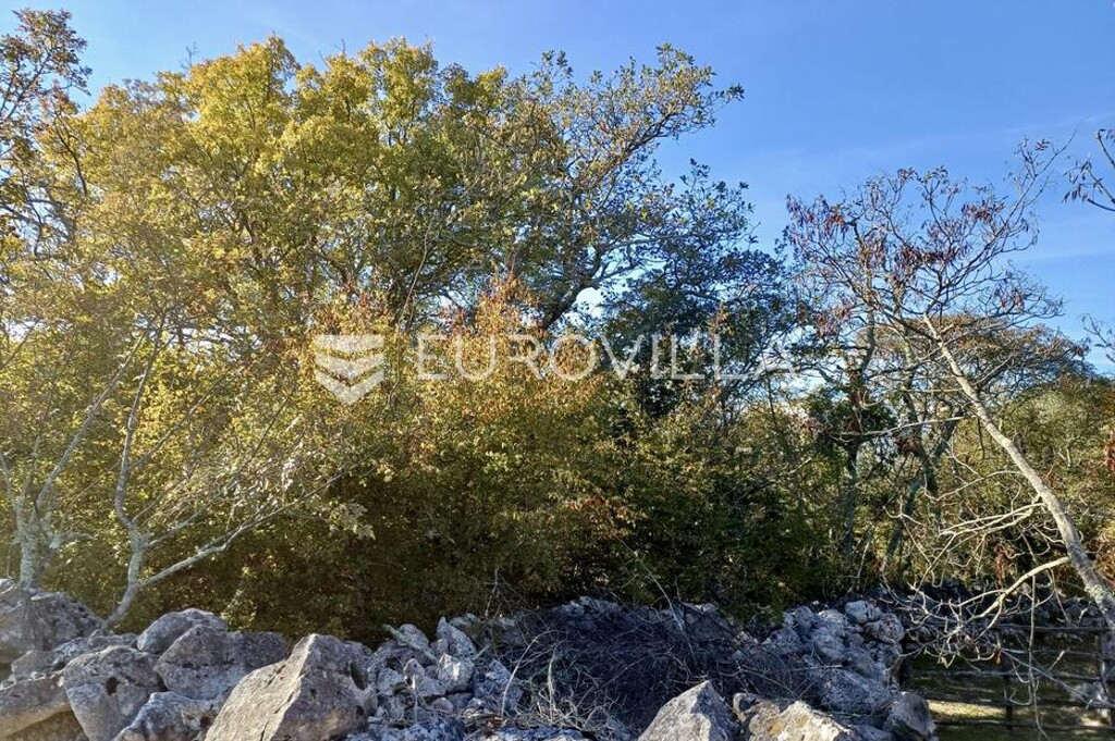 Image 6182014 - 4