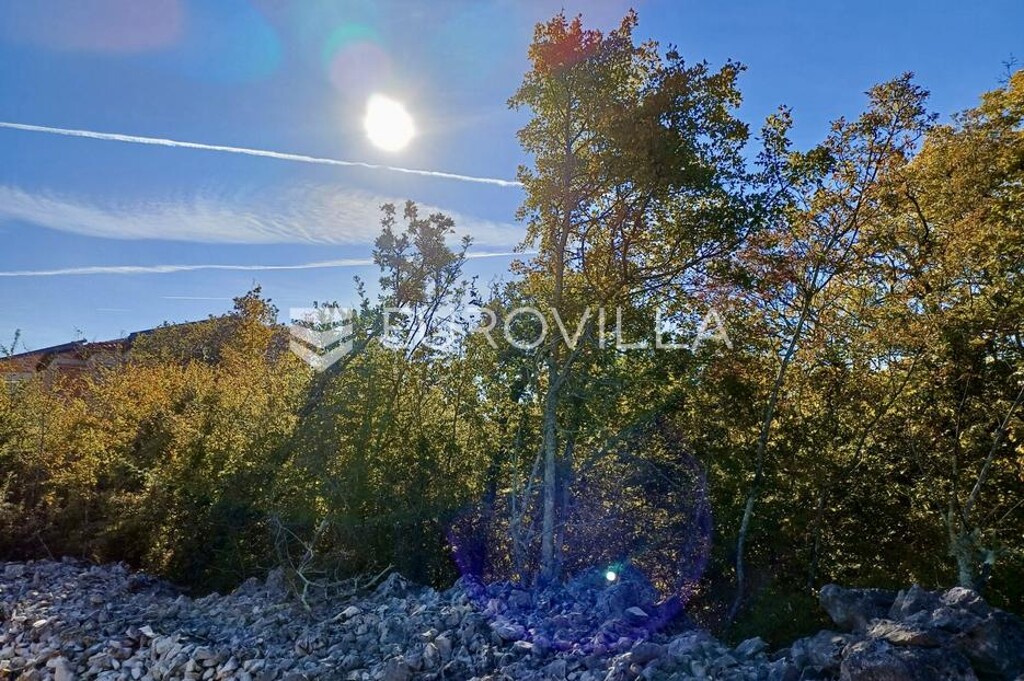 Image 6182014 - 5