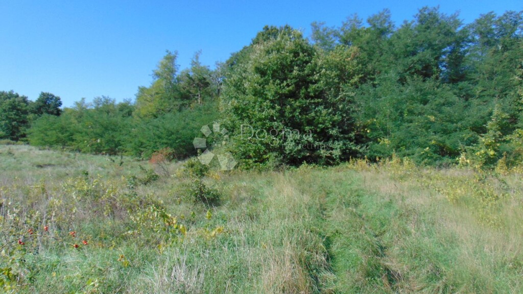 Image 6182039 - 1