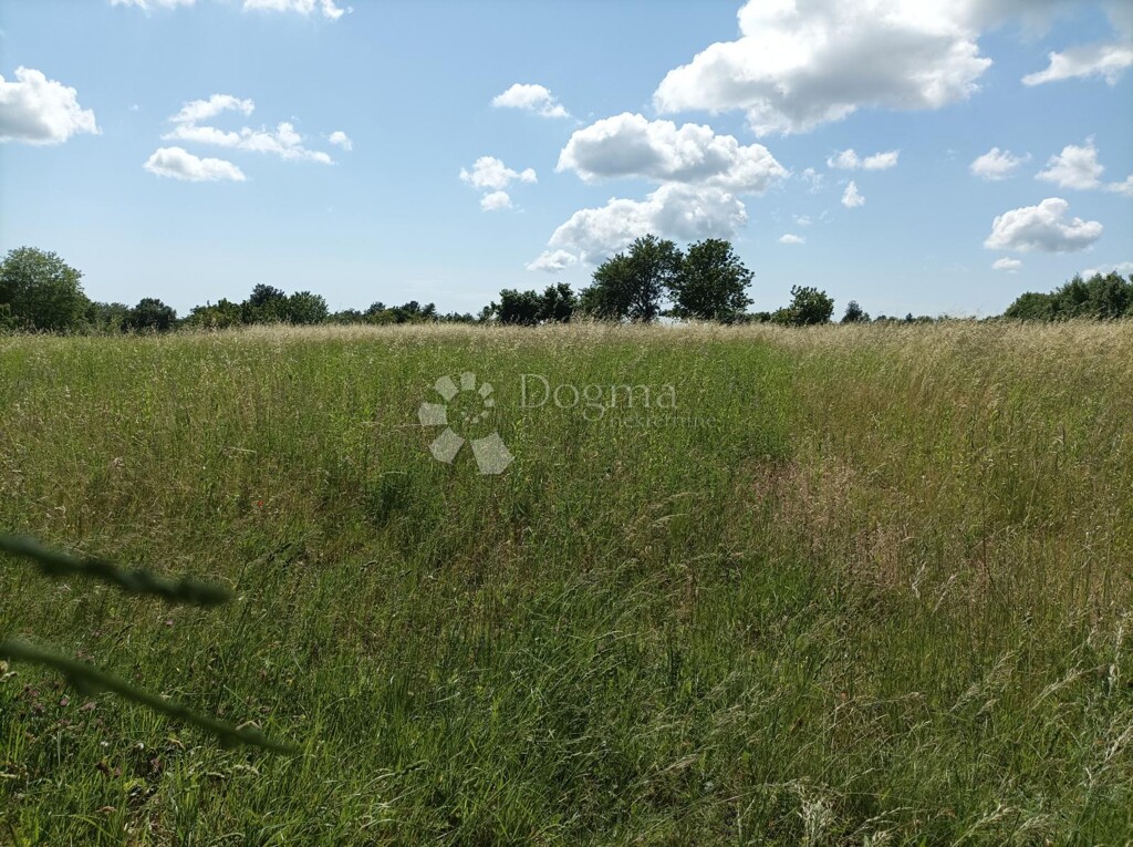 Image 6182041 - 1
