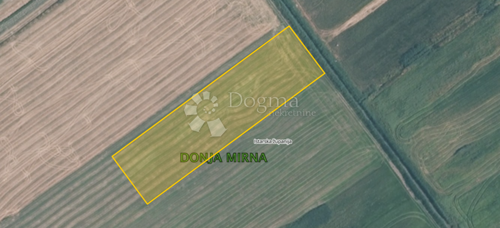 Oranica na lijepoj lokaciji