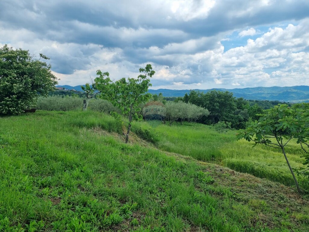 Image 6182267 - 2