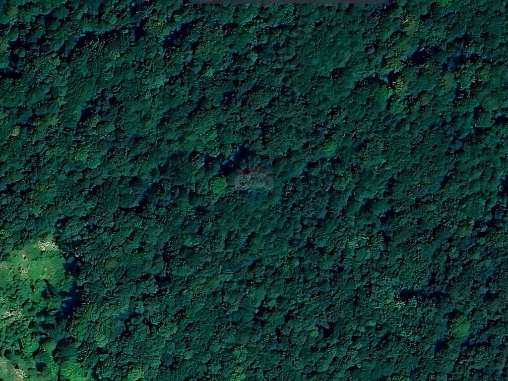 Image 6182274 - 2