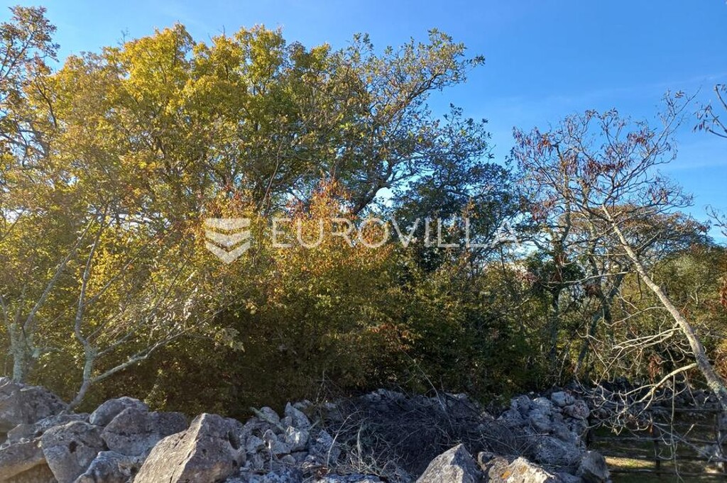 Image 6182649 - 3
