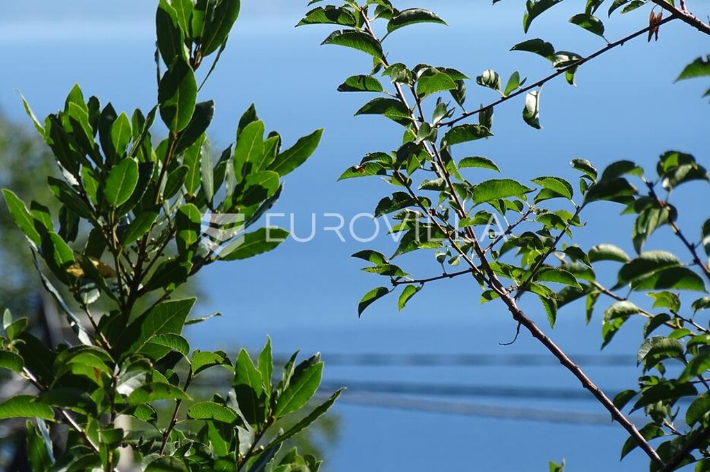 Image 6182659 - 9