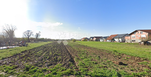 Zemljište žitnjak