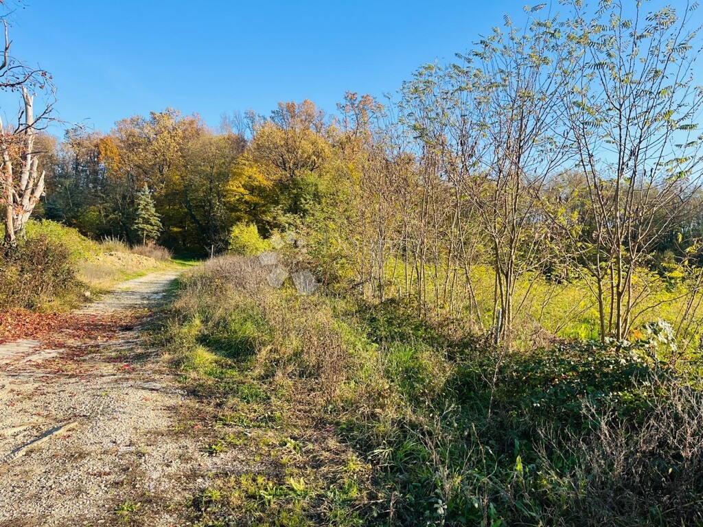 Image 6182731 - 5