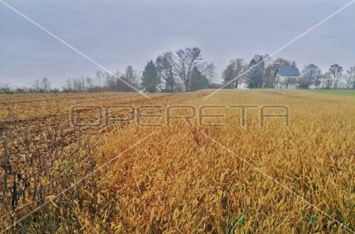 Ulica Putina, Lijevo Sredičko, Pisarovina, 4.165,00 m2, 124.950,00 EUR