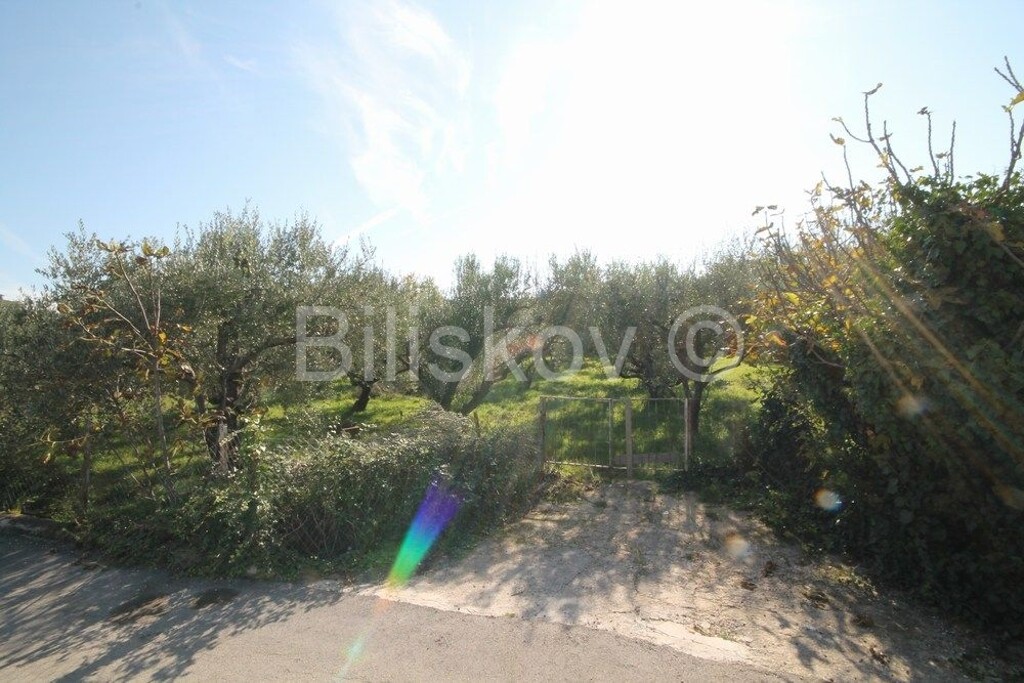 Image 6183477 - 8