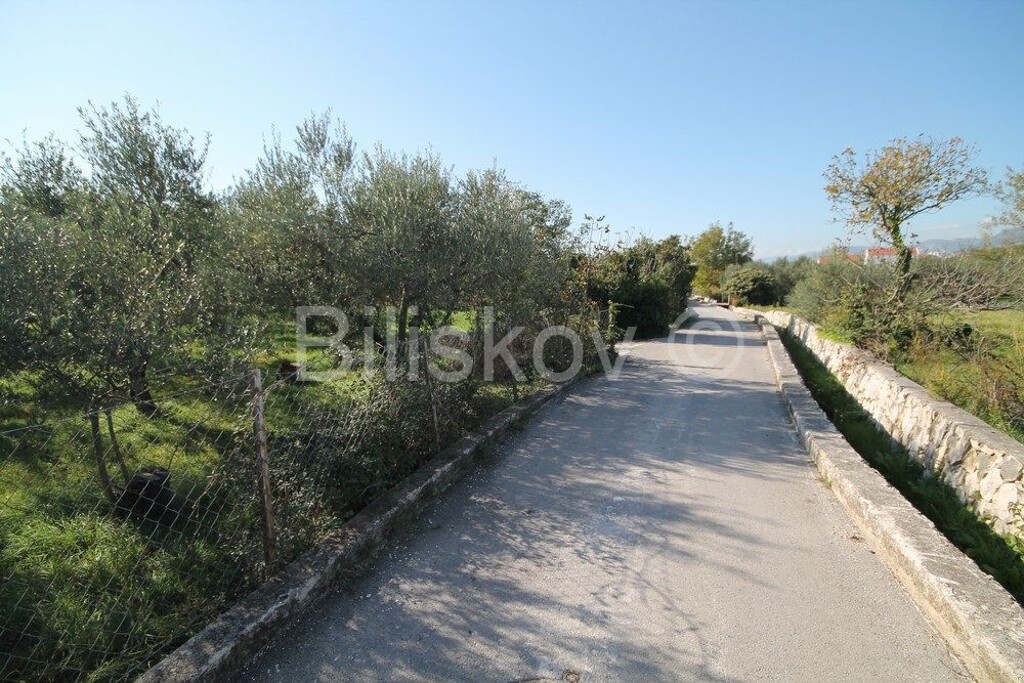 Image 6183477 - 4
