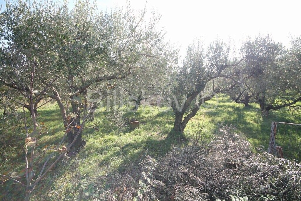 Image 6183477 - 9