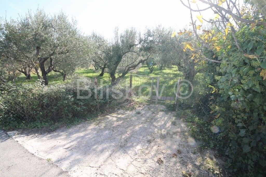 Image 6183477 - 2