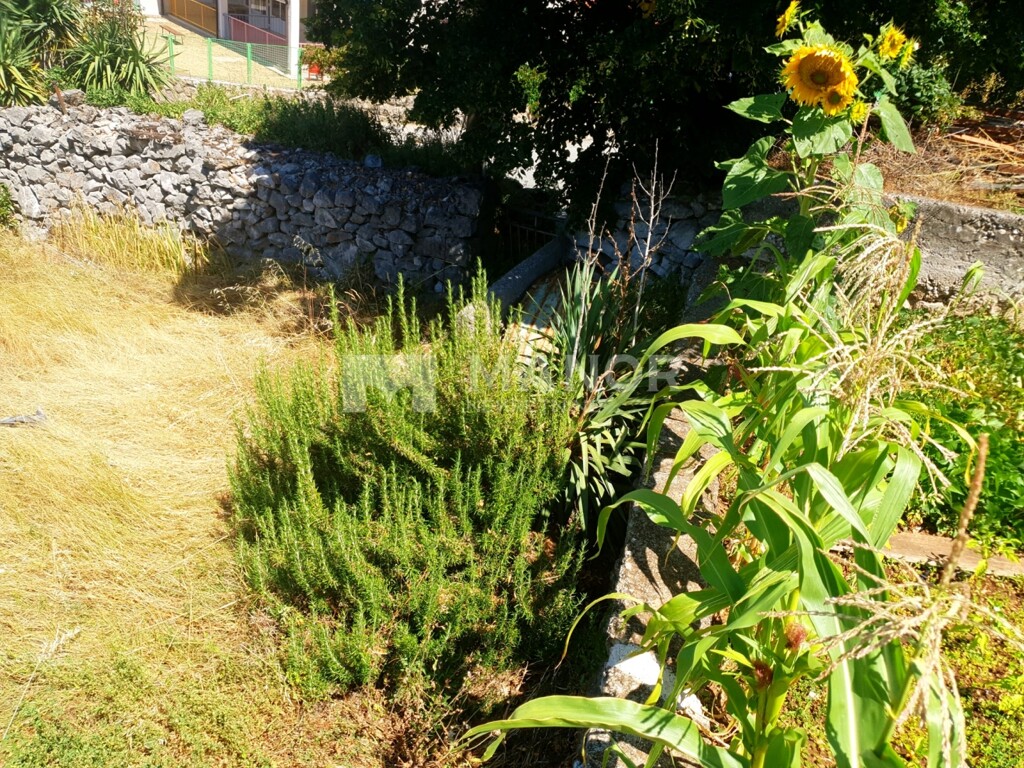 Image 6183559 - 6