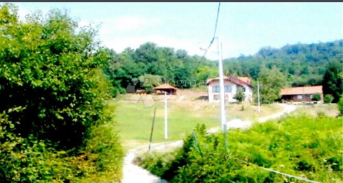 Thumbnail 6184749 - 4