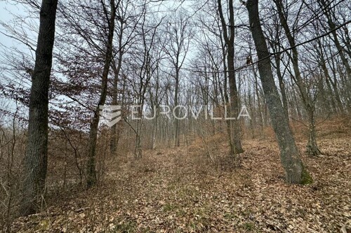 Thumbnail 6185246 - 6