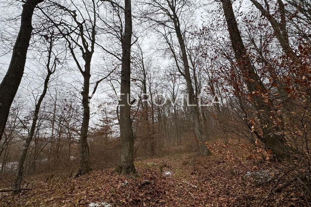 Image 6185246 - 1