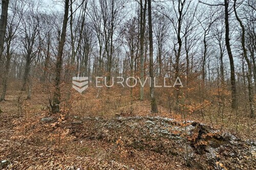 Levanjska Varoš, šume i zemljišta, ukupno cca 60 ha