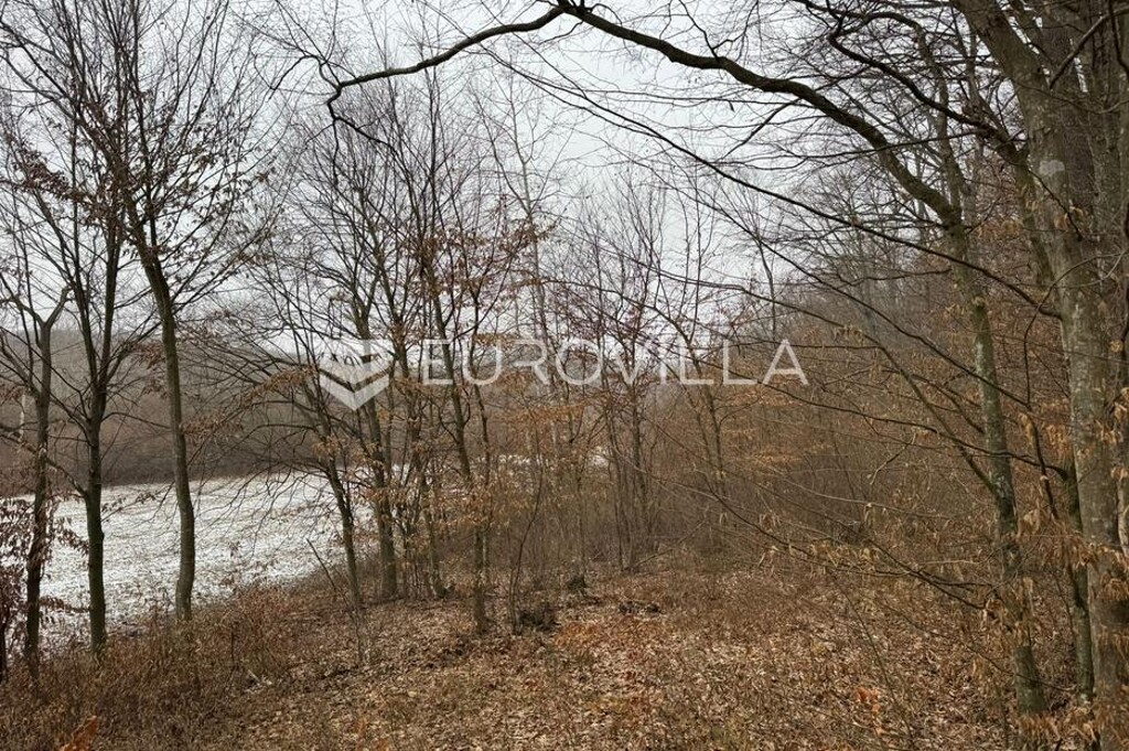 Image 6185246 - 4