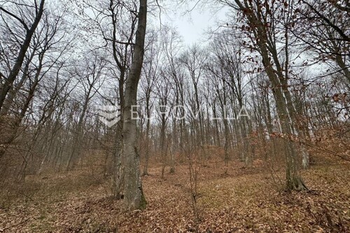 Thumbnail 6185246 - 7