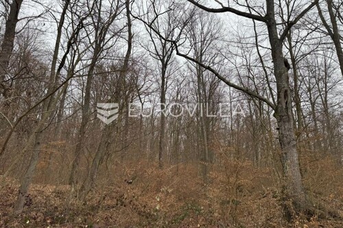 Thumbnail 6185246 - 10
