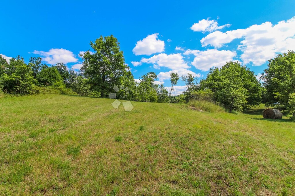 Image 6185271 - 5