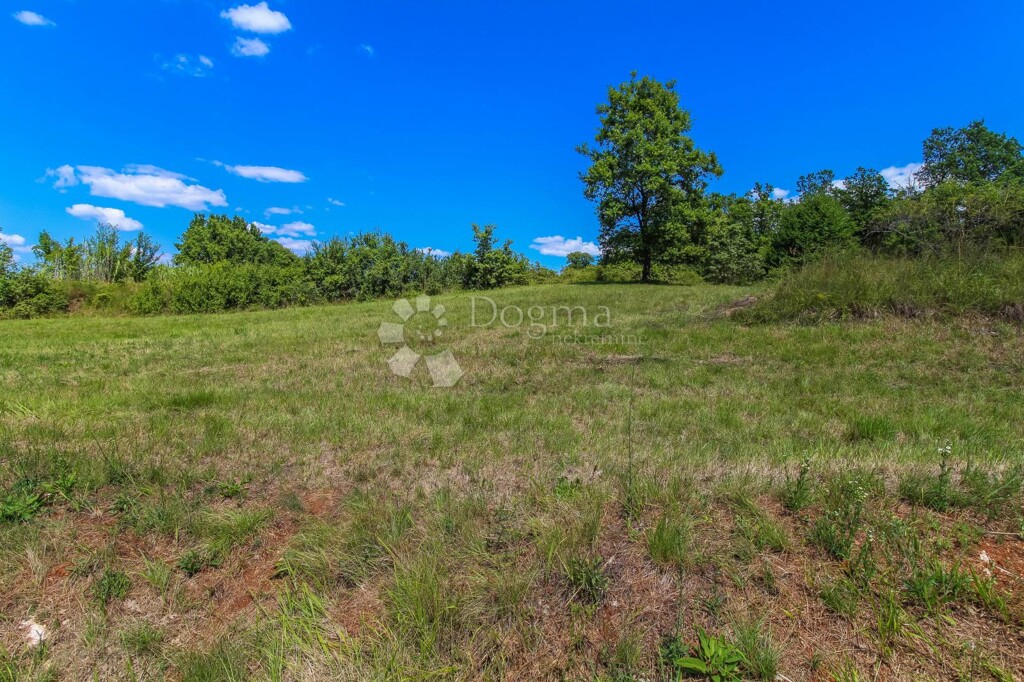 Image 6185271 - 4