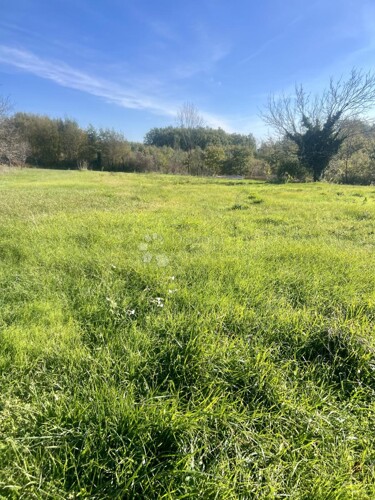 Građevinsko zemljište u Žminju – 1246 m²