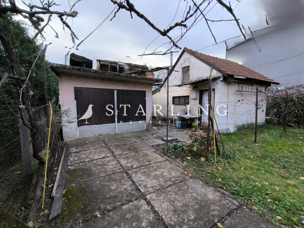 Image 6185298 - 10