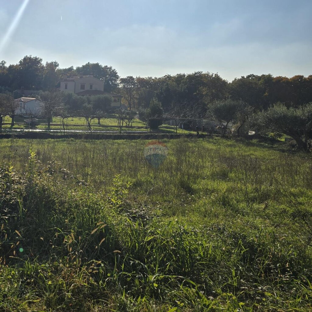 Image 6185470 - 1