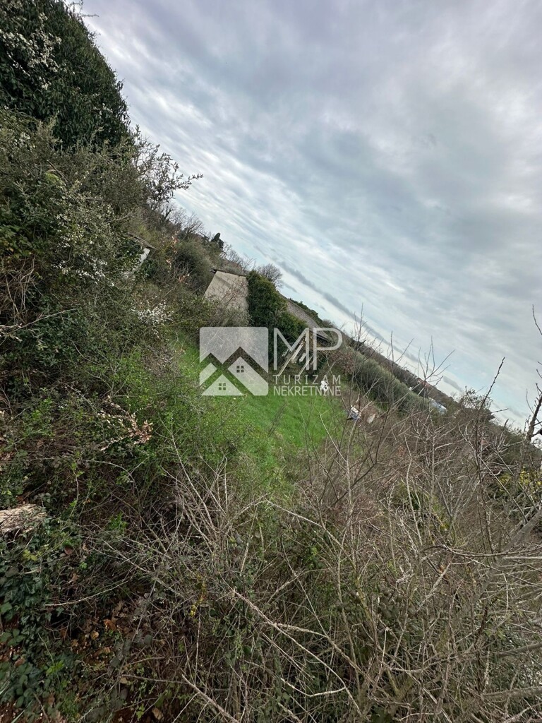 Image 6185819 - 3