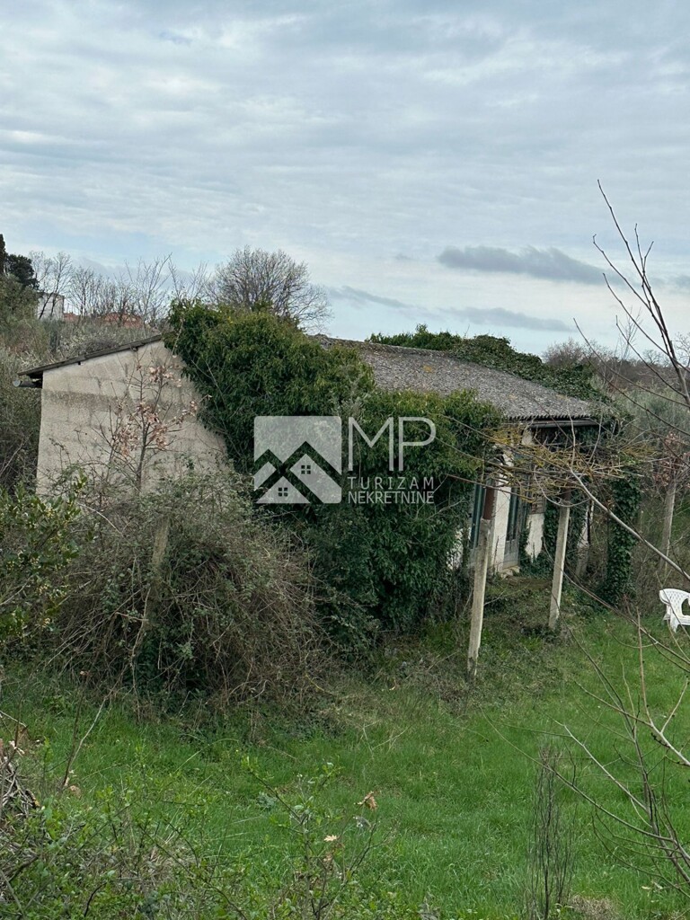 Image 6185819 - 4