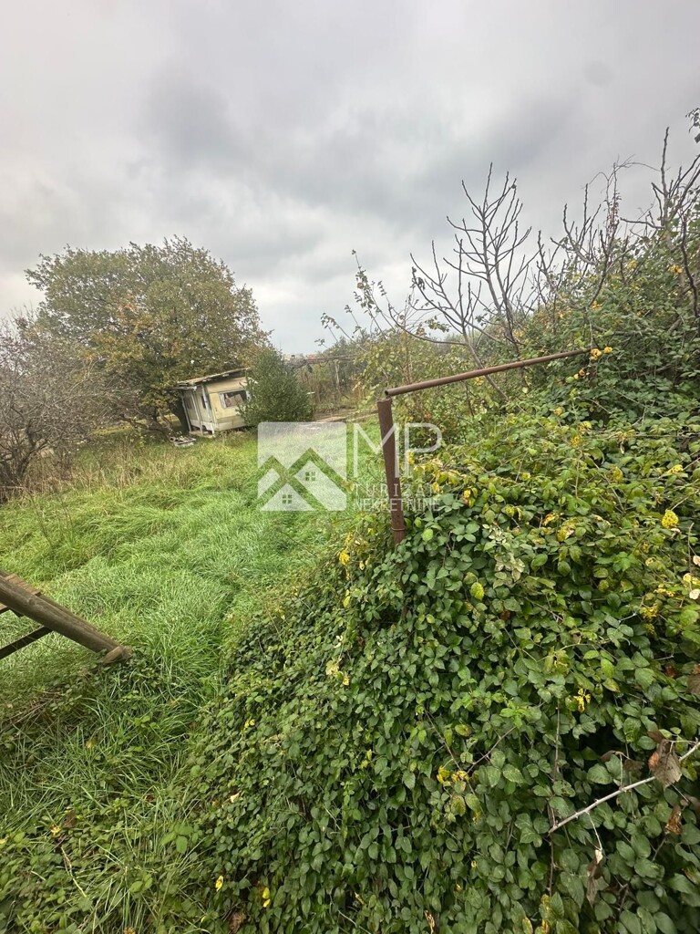 Image 6185910 - 1