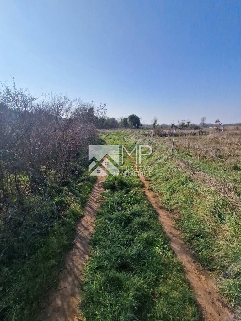 Image 6185920 - 2