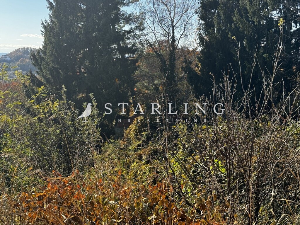 Image 6188057 - 2