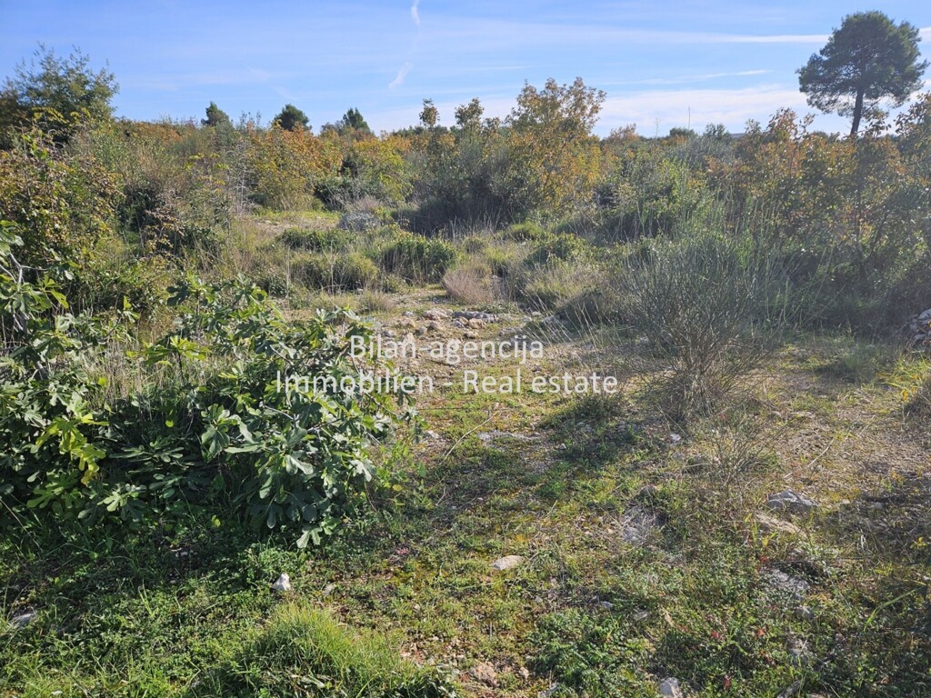 Image 6188062 - 1