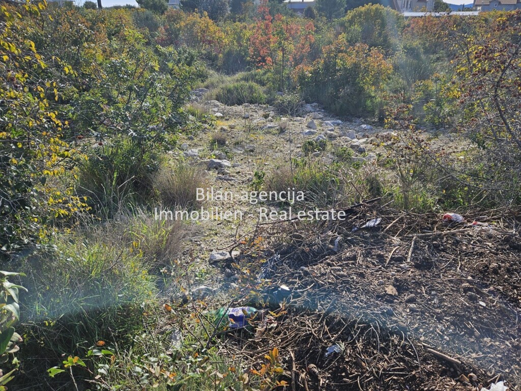 Image 6188062 - 3