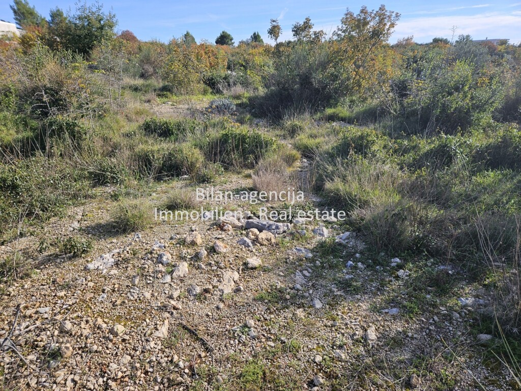 Image 6188062 - 2