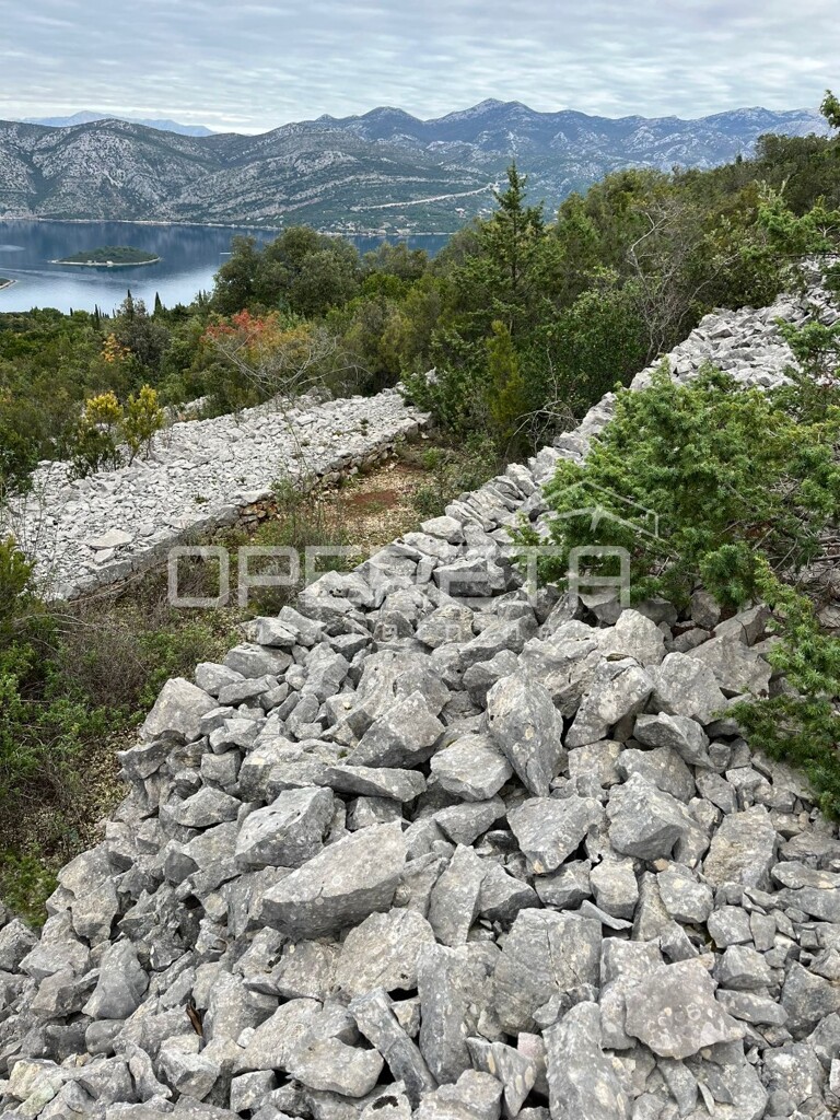 Image 6188173 - 8