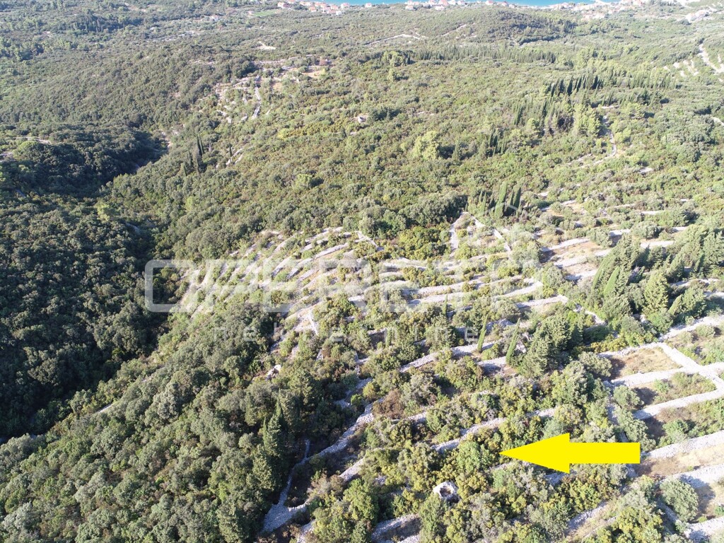 Image 6188173 - 6
