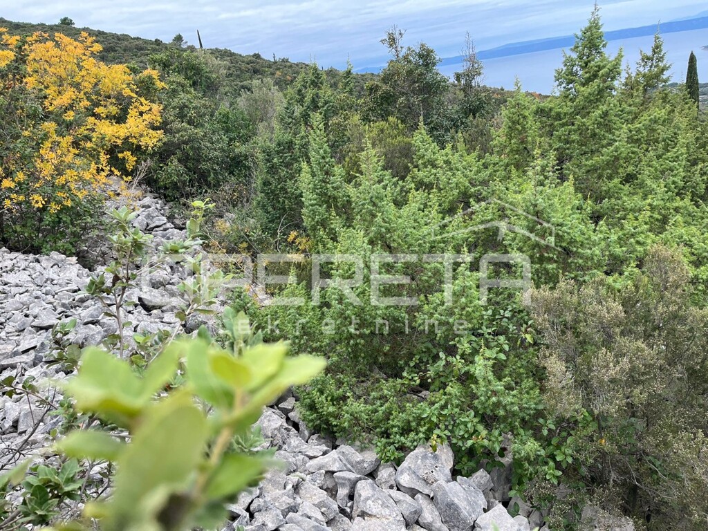 Image 6188173 - 13