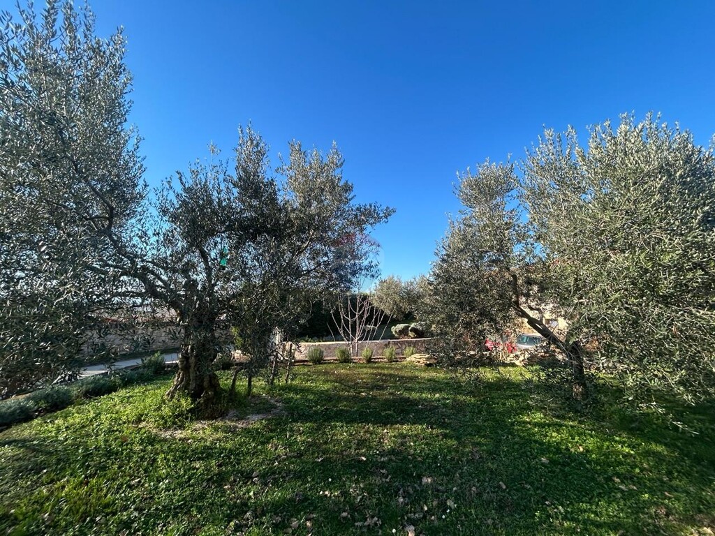 Image 6188217 - 5