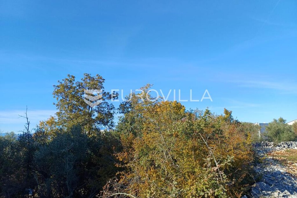 Image 6188713 - 4