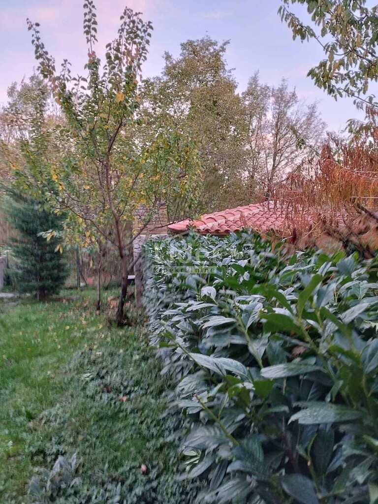 Image 6188719 - 8