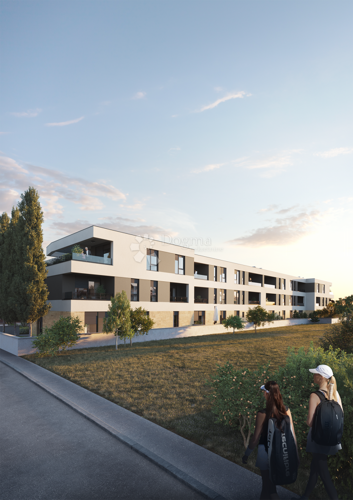 Thumbnail 6189238 - 11