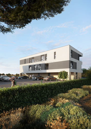 Thumbnail 6189244 - 17