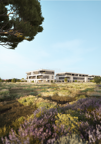 Thumbnail 6189255 - 16